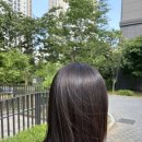 레오헤어 - 익산시 동서로61길 8 | 주목! 김포 풍무동 매직 맛집 '그로우헤어' 솔직후기 / 김포 손상모 매직, 볼륨매직, 뿌리 매직 잘하는...