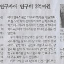 짬전 이미지