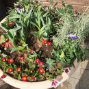 동문가든 이미지