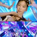씨스타와이 이미지