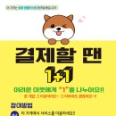 원플러스원 이미지