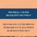타이니하우스 이미지