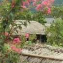 우신정사 | 광주 죽창서실(竹窓書室)