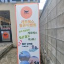 박준애견호텔강아지목욕대형견호텔애견유치원 | 광주 애견 카페 게르메스 방문 유치원 애견 동반 카페 찾는 분들 추천