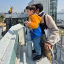 엄마랑 그림책 놀이(1기) | 쪼꼬미 놀이! 서울함공원 다녀온 날, 그림책 프로그램 듣고 온 주말 나들이 후기