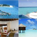 (주)자유투어 이미지