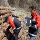 홍천국유림관리소 이미지