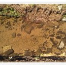 수정-106 이미지