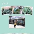 대풍농약사 이미지