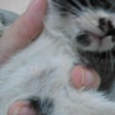 서림동-21 이미지