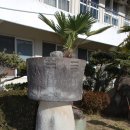 진주 이현동 삼층석탑 이미지