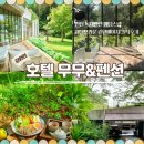 [공지] [인천강화숙소] 강화도무무펜션 호텔무무 린넨베이지,새들브라운 숲속스파 웨딩스냅