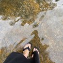 반월산장 앞 | [광양여행] 봉강닭구이 봉강펜션 반월산장펜션 닭구이+바베큐+숙박 후기