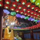 삼정사 Daum카페