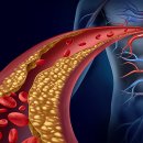 메이크짐 이미지