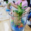 운유초병설유치원 이미지