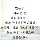 (주)작은사랑작은행복 이미지