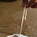 에스온누리약국 이미지