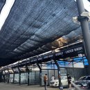 온수세차장 이미지