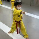 용인대 여명태권도 이미지