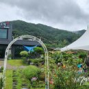 도연도자기 이미지