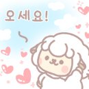 도틀왓 제주 이미지