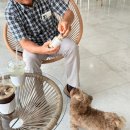 뽀야네 까까 이미지