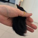 플랜에이치 내포신도시점 이미지