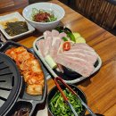 꽃피는고기