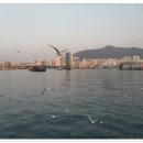 부산영선중학교 이미지