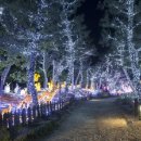 부여군청 광장 이미지