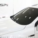 스파이(SPI)