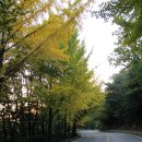 코리아골프빌리지 대우그린카운티 이미지