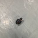 이태원 MMA 복싱 이미지