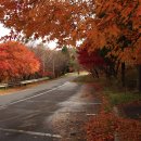 동호리체육공원 | 보령 가볼만한 곳 보령 수원지인 보령호입니다.