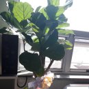 의료법인 다솔의료재단 늘푸른요양병원 이미지