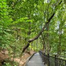 영축산 순환산책로 이미지