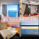 늘푸른충전소 | 2026 울산 새해 일출 명소 머큐어 앰배서더 호텔 오션뷰 룸