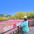 26년6월20일(토) 불암산 둘레길 걷기//리딩:원석 이미지