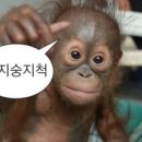 쉬다가게 이미지