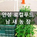 상행농장 이미지