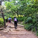 경기도 구리시배드민턴장 이미지