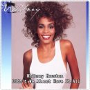 P.Whitney Houston - Didn't We Almost Have It All.mp³ 이미지