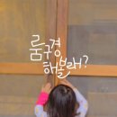 여행갈래블루