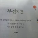 모전자전 이미지