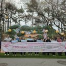 보정동 카페거리 이미지