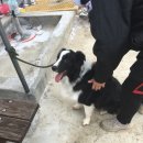 준독트레이닝센터 이미지