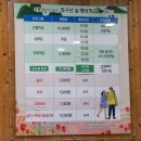 좌구산캠핑장 | 증평 좌구산 단풍명소 좌구산 자연휴양림 등산코스 카페 명상구름다리 가는법 천문대 주차장 정보