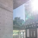 햇살 비치던 날의 르꼬숑 가족사진 돌잔치 스냅 후기 ㅣ 메이블랑 스튜디오