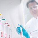 영인원예 이미지